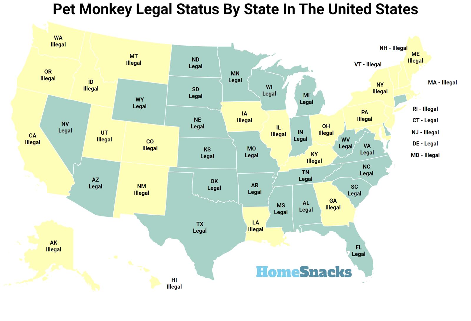 Pet Monkey Legal Status By State In The United States