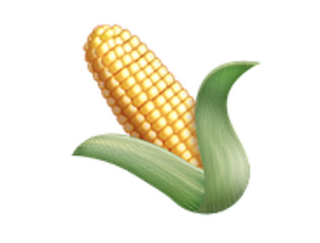 Pictures of South Carolina