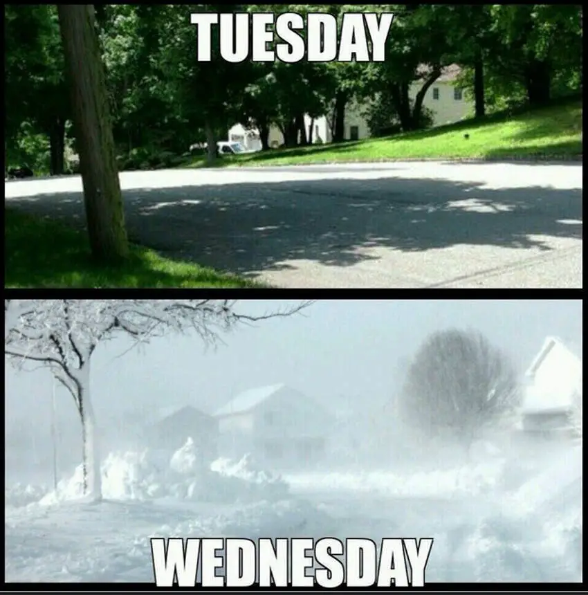 michigan memes