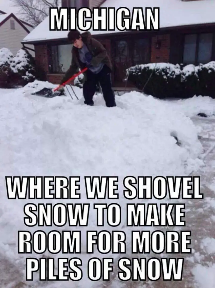 michigan memes