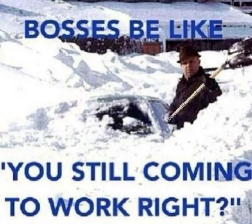 michigan memes