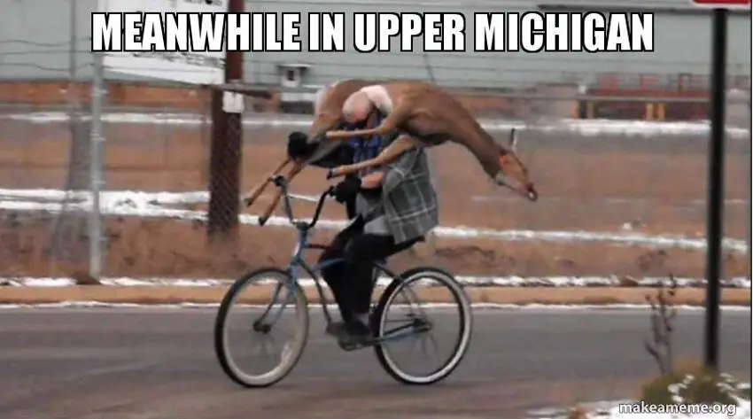 michigan memes