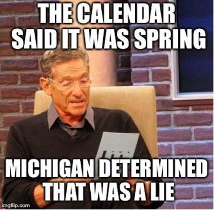 michigan memes