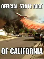 22 Jokes About California That Are Actually Funny