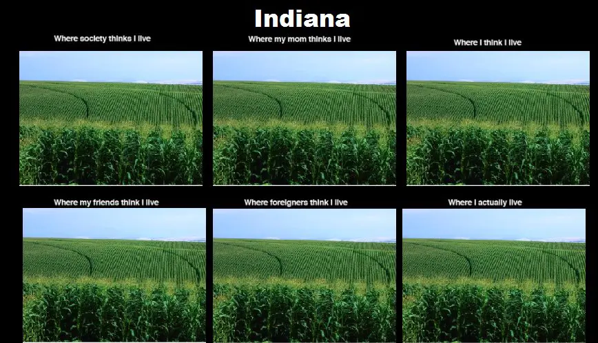 indiana memes