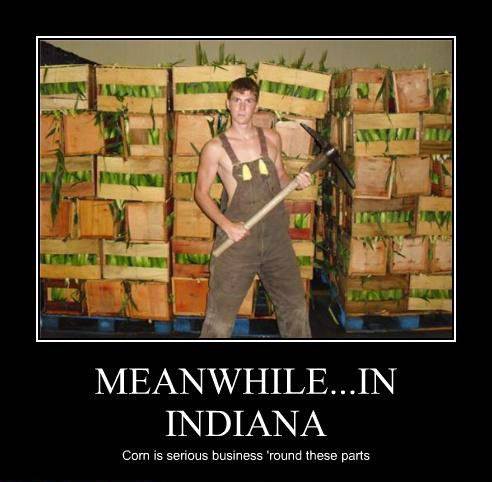 indiana memes