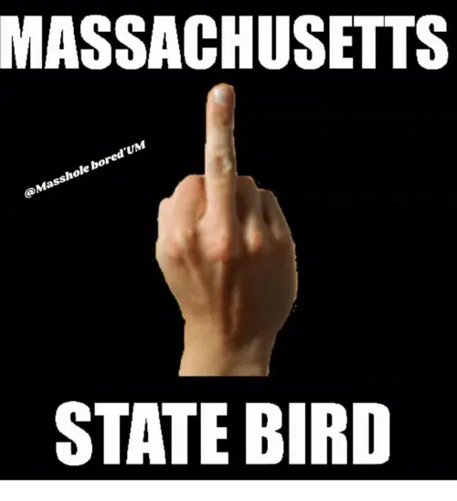 massachusetts memes