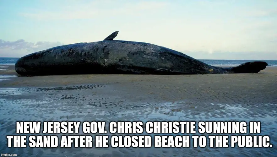 new jersey memes