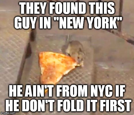 new york memes