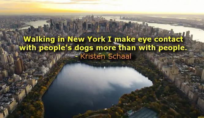 new york memes