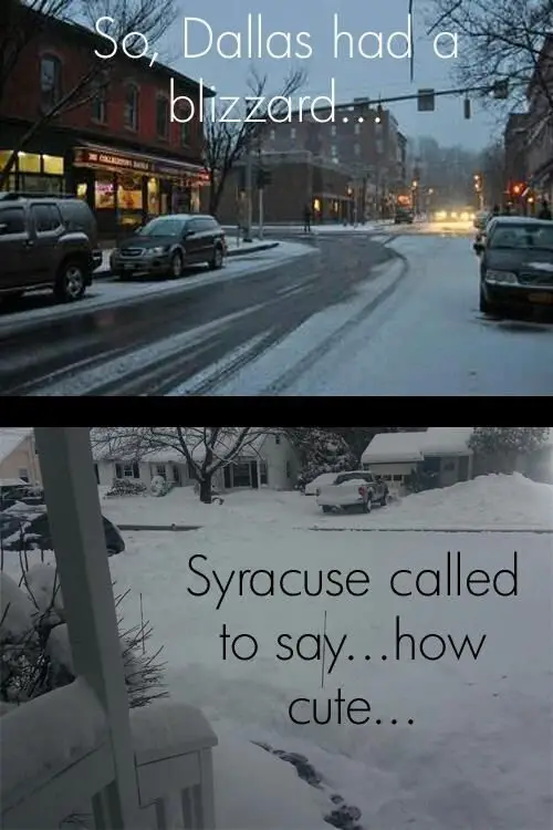 new york memes