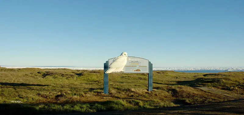 Ukpeagvik Mounds