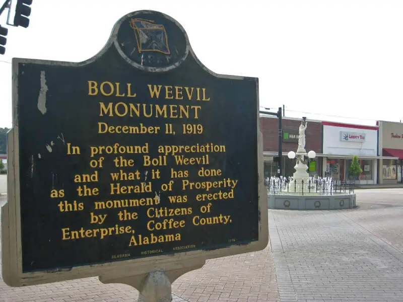 Boll Weevil Monument Alabama Historical Marker