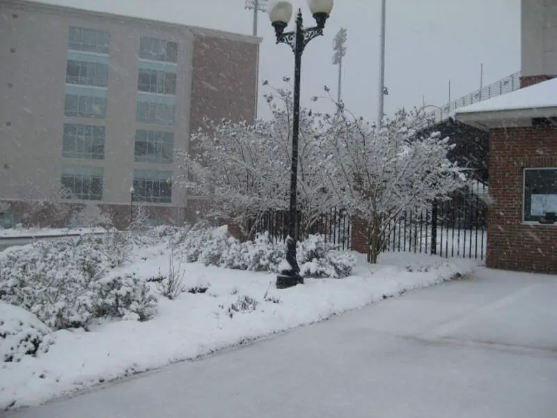 Snowstorm In Troyc Alabama