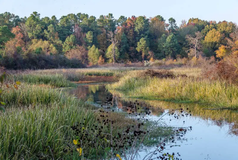 Bayou Bartholomew Near Pine Bluffc Ar