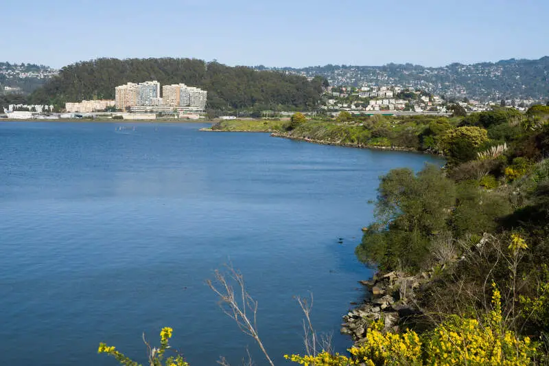 Albany Hill From Albany Bulb