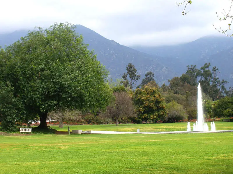 La County Arboretum  Fountain