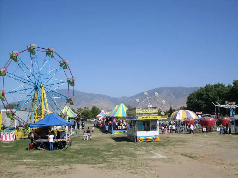 Wildflower Festival