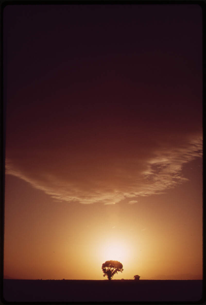 California Near Calipatria In The Imperial Valleyc Southwest Of Blythe  Nara