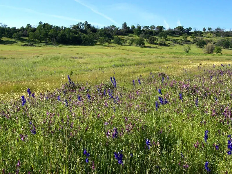 Bidwell Park Chico