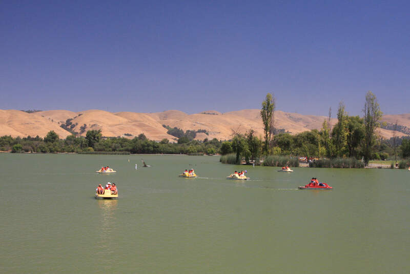 Lake Elizabeth In Fremont Central Park