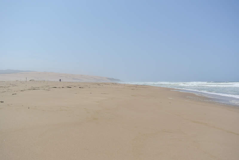 Guadalupe Dunes County Park Beach