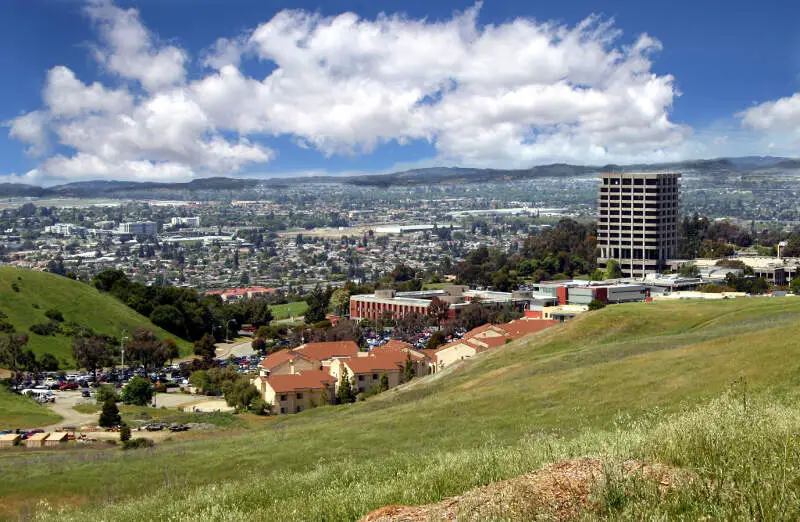 Csueb View