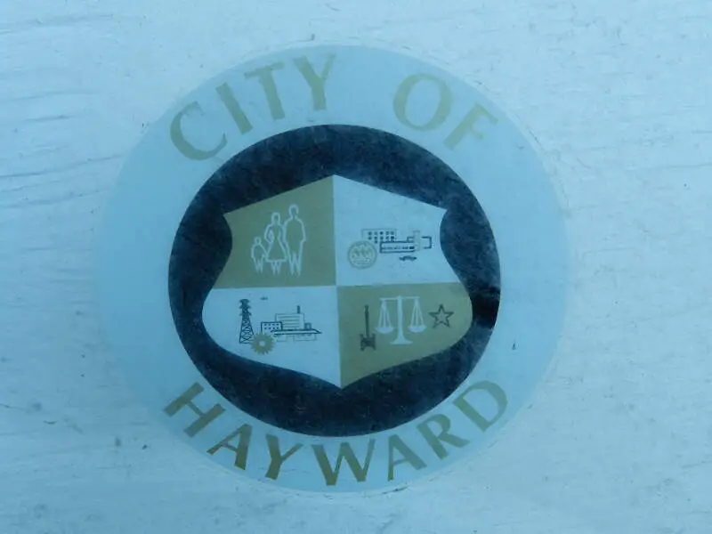 Haywardlogoold