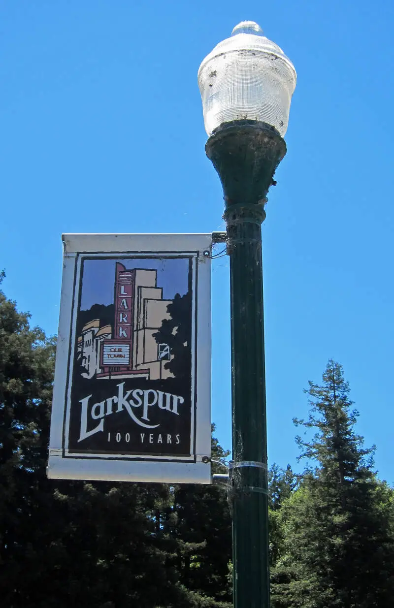 Larkspur Years Banner