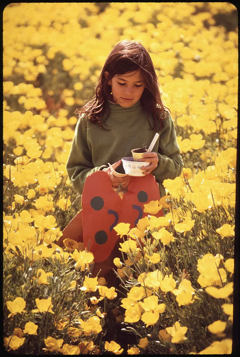 Kathy Martin Carrying A Plant Home From School Through A Field Of Yellow Poppies  Nara