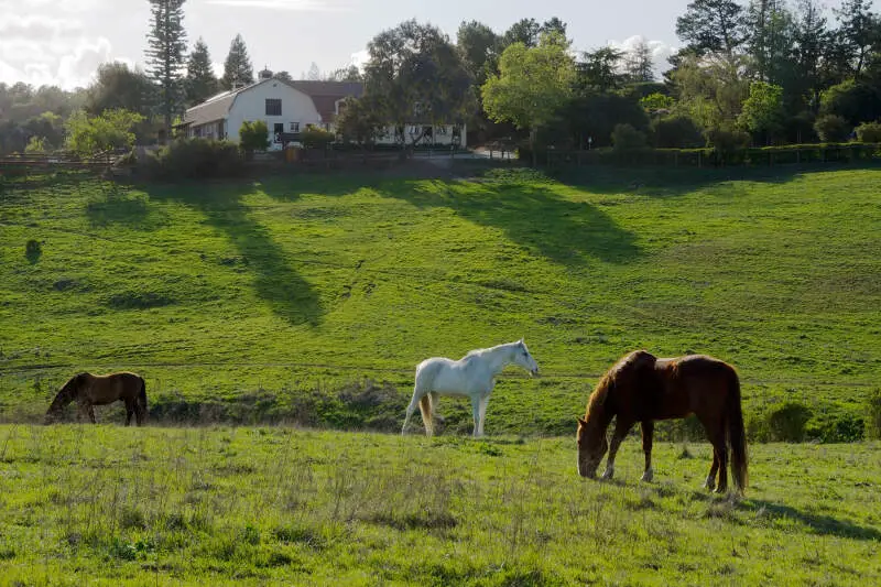 Los Altos Hills, CA