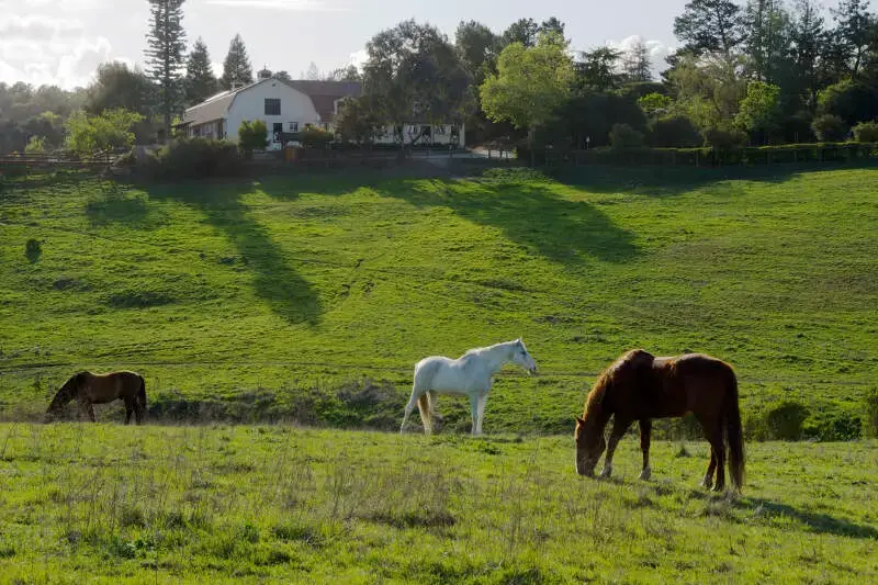 Los Altos Hills, CA