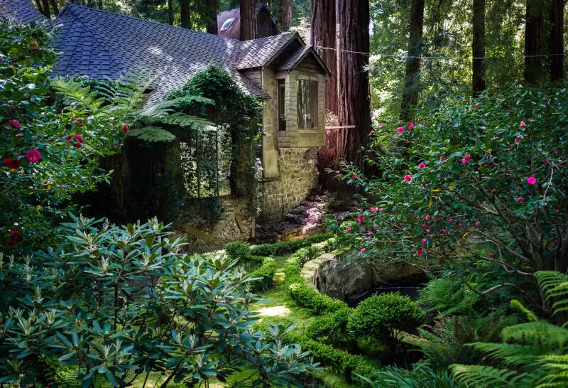 House Amongst Redwood Treesc Cascade Canyon
