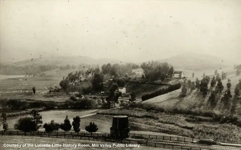 Mill Valley, California