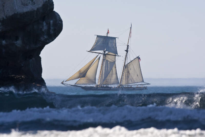 Lynx Schooner In Morro Bay