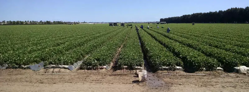 Strawberry Field