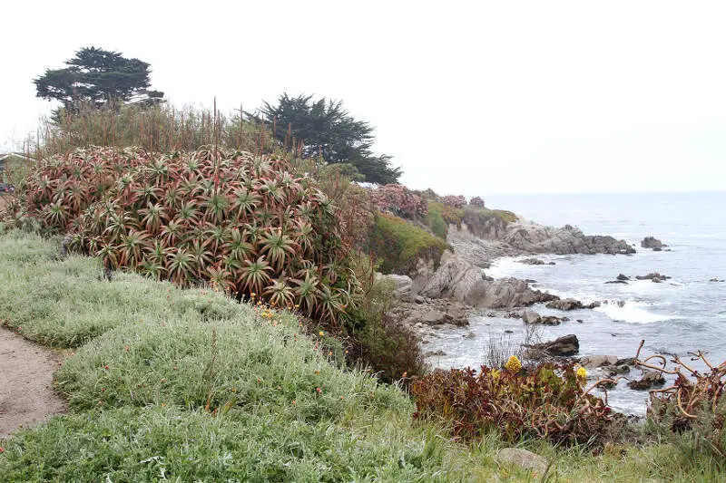 Pacific Grove Coastlinec Montereyc Cac Jjron