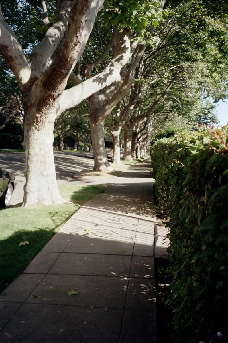 Piedmont Ca Street