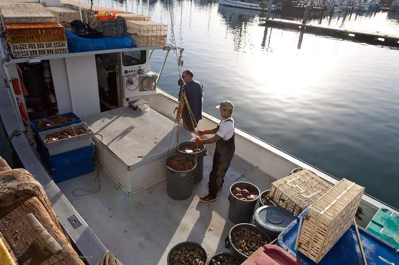 Santa Barbara Harbor Fishermen