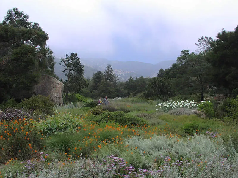 Sbbotanicgarden