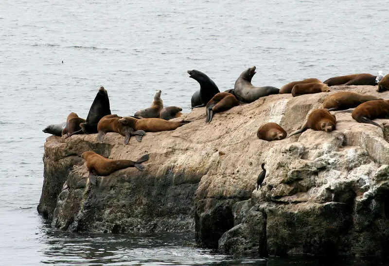 Santa Cruz, California