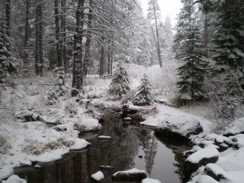 Trout Creek Truckee