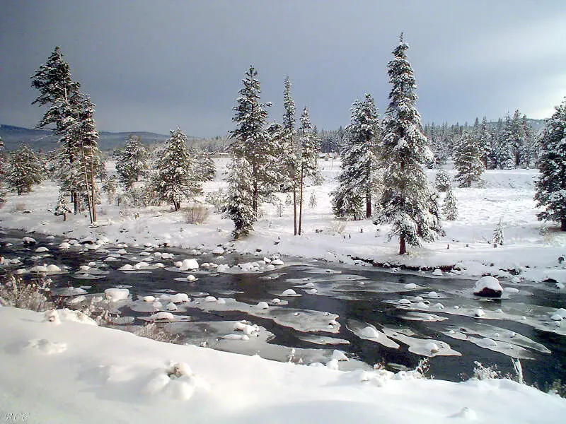 Truckee River