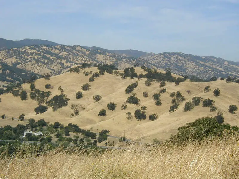 Summer Hillside