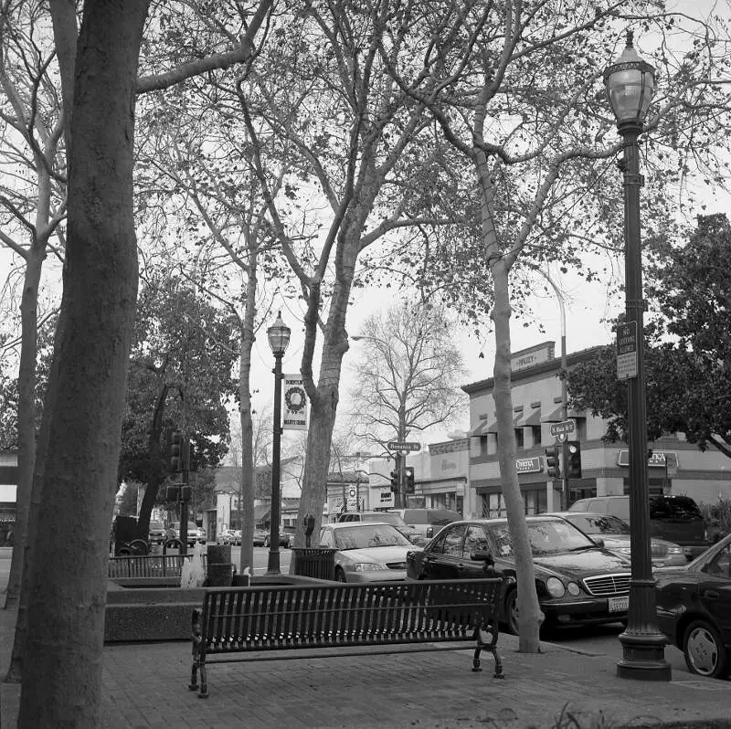 Downtown Walnut Creek Bw