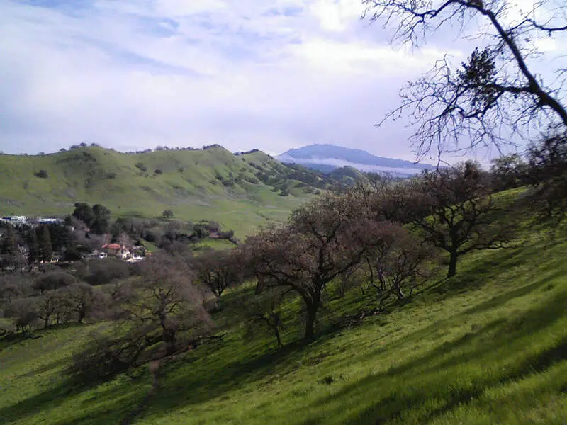 Shell Ridge Open Space  Walnut Creekc California