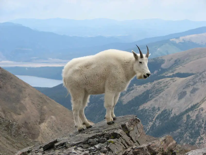 Leadville, Colorado