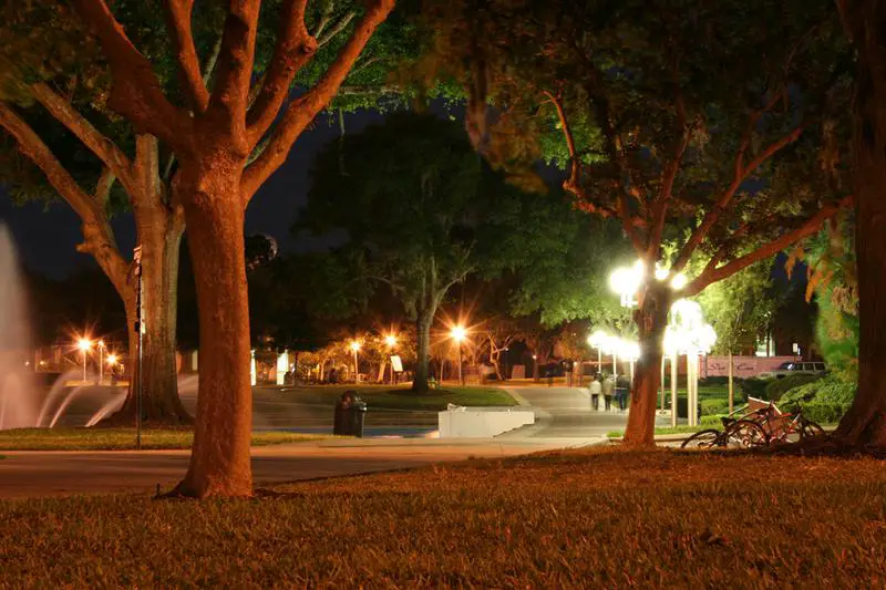 University Of Central Florida