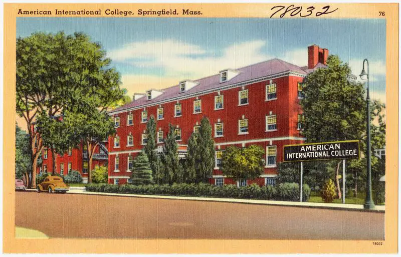 American International College