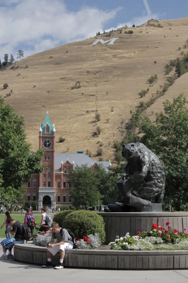 The University Of Montana
